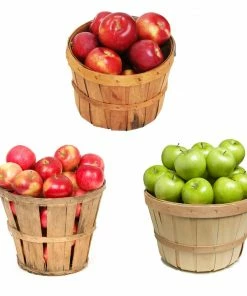 Fast Growing Trees Apple Trees 3-in-1 Apple Tree