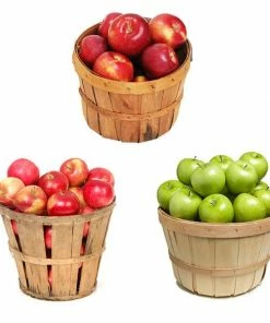 Fast Growing Trees Apple Trees 3-in-1 Apple Tree