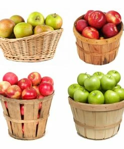 Fast Growing Trees Apple Trees 4-in-1 Apple Tree