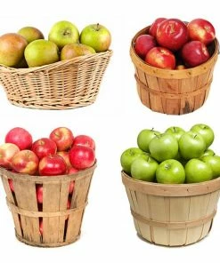 Fast Growing Trees Apple Trees 4-in-1 Apple Tree