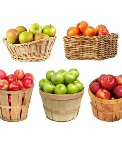 Fast Growing Trees 5-in-1 Apple Tree Apple Trees