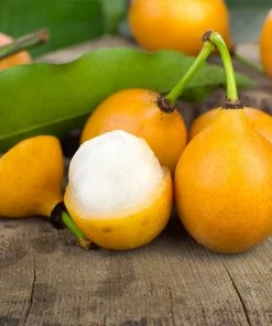 Fast Growing Trees Achacha Fruit Tree