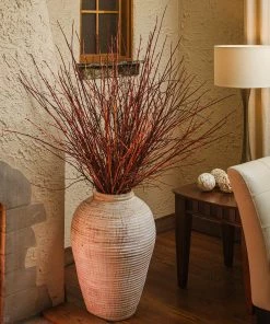 Fast Growing Trees Dogwood Trees Arctic Fire Red Twig Dogwood