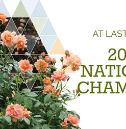 Fast Growing Trees At Last® Rose