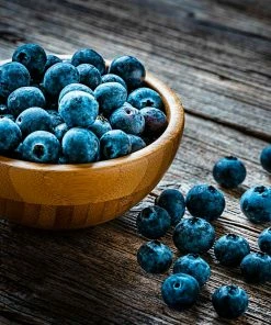 Fast Growing Trees Blueberry Bushes Aurora Blueberry Bush 12 Fast Growing Trees Blueberry Bushes Aurora Blueberry Bush