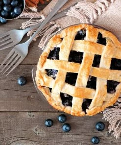 Fast Growing Trees Blueberry Bushes Aurora Blueberry Bush 13 Fast Growing Trees Blueberry Bushes Aurora Blueberry Bush