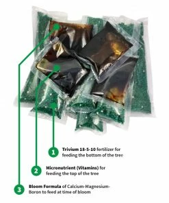 Fast Growing Trees Avocado Tree Care Kit