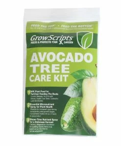 Fast Growing Trees Avocado Tree Care Kit
