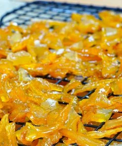 Fast Growing Trees Buddha's Hand Citron Tree