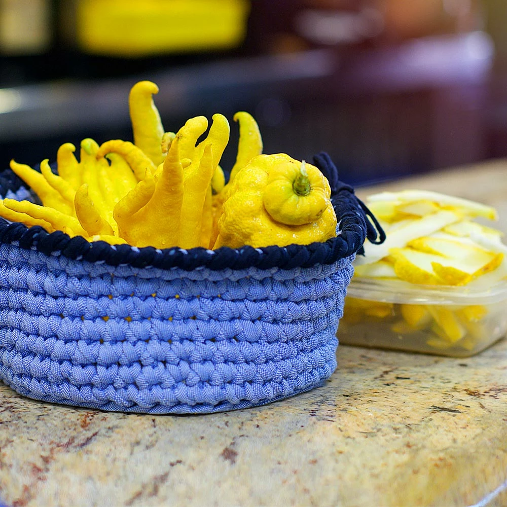 Fast Growing Trees Citrus Trees Buddha's Hand Citron 6 Fast Growing Trees Citrus Trees Buddha's Hand Citron