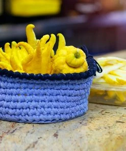 Fast Growing Trees Buddha's Hand Citron Tree