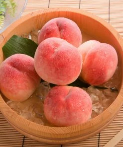 Fast Growing Trees Babcock Peach Tree Peach Trees 10 Fast Growing Trees Babcock Peach Tree Peach Trees