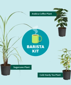 Fast Growing Trees Full Landscape Kits For Any Climate Barista Kit