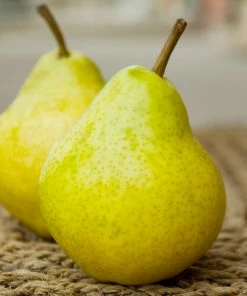 Fast Growing Trees Bartlett Pear Tree