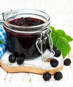 Fast Growing Trees Big Daddy Blackberry Bush Blackberry Bushes