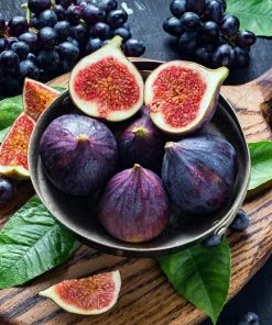 Fast Growing Trees Black Mission Fig Salt Tolerant Plants