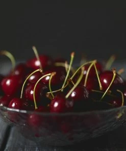 Fast Growing Trees Black Tartarian Cherry Tree