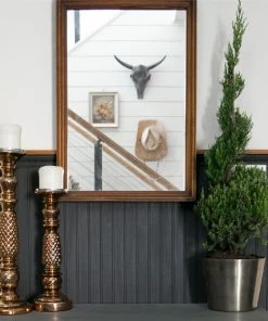 Fast Growing Trees Blue Point Spiral Juniper Gift Plant Juniper Trees