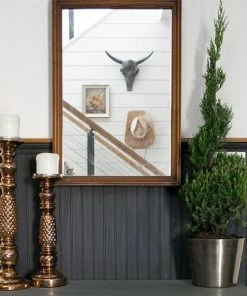 Fast Growing Trees Blue Point Spiral Juniper Gift Plant Juniper Trees