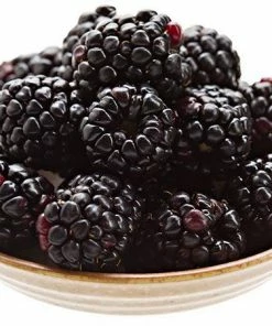 Fast Growing Trees Groundcover & Vines Boysenberry Bush - Thornless