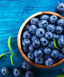 Fast Growing Trees Blueberry Bushes Brightwell Blueberry