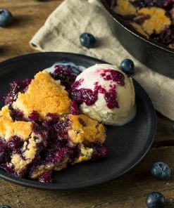 Fast Growing Trees Blueberry Bushes Brightwell Blueberry