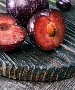 Fast Growing Trees Burgundy Plum Tree