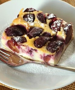 Fast Growing Trees Burgundy Plum Tree