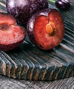 Fast Growing Trees Burgundy Plum Tree