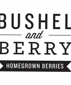 Fast Growing Trees Bushel And Berry® Peach Sorbet™ Blueberry Bush Blueberry Bushes 15 Fast Growing Trees Bushel And Berry® Peach Sorbet™ Blueberry Bush Blueberry Bushes