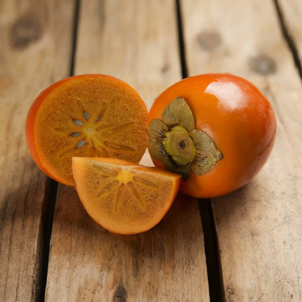 Fast Growing Trees Chocolate Persimmon Tree 3 Fast Growing Trees Chocolate Persimmon Tree