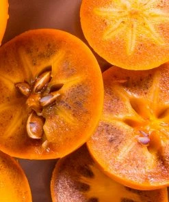 Fast Growing Trees Chocolate Persimmon Tree 7 Fast Growing Trees Chocolate Persimmon Tree