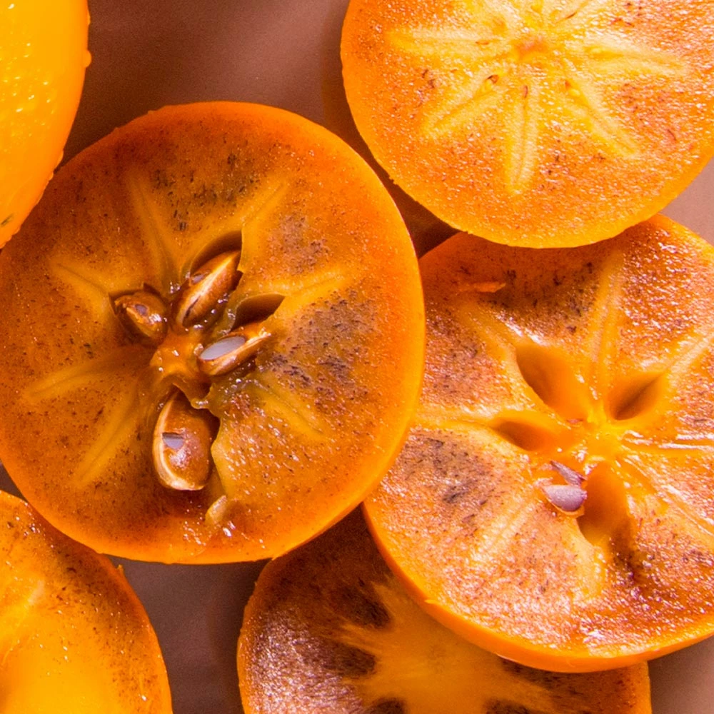 Fast Growing Trees Chocolate Persimmon Tree 5 Fast Growing Trees Chocolate Persimmon Tree