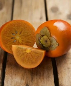 Fast Growing Trees Chocolate Persimmon Tree