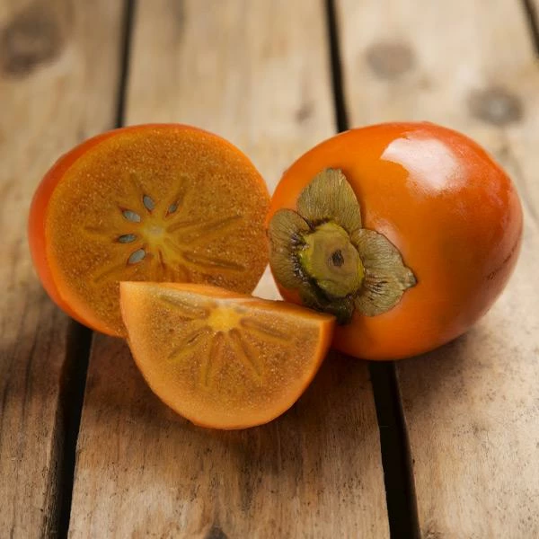 Fast Growing Trees Chocolate Persimmon Tree 4 Fast Growing Trees Chocolate Persimmon Tree