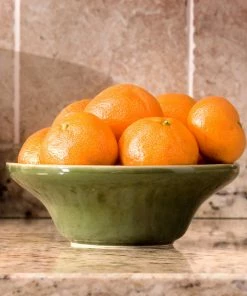 Fast Growing Trees Calamondin Bush