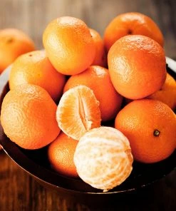 Fast Growing Trees Citrus Trees California Honey Mandarin Tree