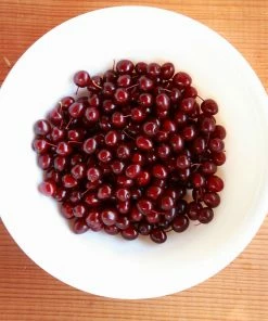 Fast Growing Trees Canada Red Chokecherry Tree See All Fruit Trees