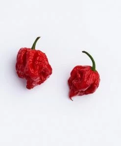 Fast Growing Trees Tropical Fruit Trees Carolina Reaper Pepper Plant - USDA Organic