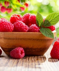 Fast Growing Trees Raspberry Bushes Caroline Raspberry Bush 7 Fast Growing Trees Raspberry Bushes Caroline Raspberry Bush