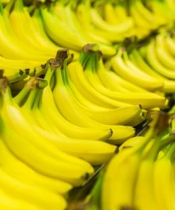 Fast Growing Trees Dwarf Cavendish Banana Tree