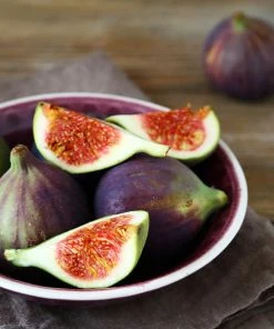 Fast Growing Trees Celeste Fig Tree Fig Trees