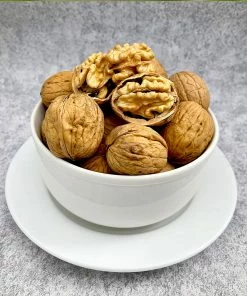 Fast Growing Trees Chandler Walnut Tree