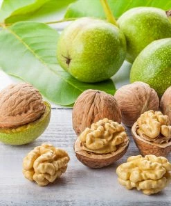 Fast Growing Trees Chandler Walnut Tree