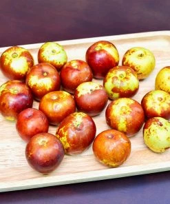 Fast Growing Trees See All Fruit Trees Chico Jujube Tree