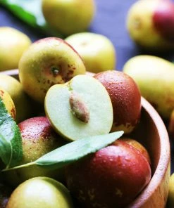 Fast Growing Trees See All Fruit Trees Chico Jujube Tree