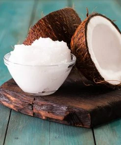 Fast Growing Trees Coconut Palm Tree Shop Indoor & Patio Fruit