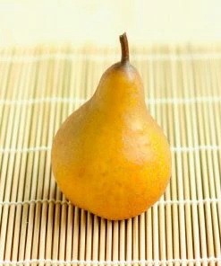 Fast Growing Trees Comice Pear Tree Pear Trees