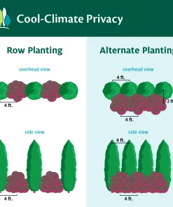 Fast Growing Trees Cool-Climate Privacy Kit
