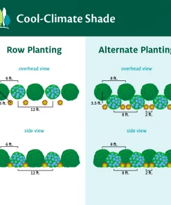 Fast Growing Trees Cool-Climate Shade Garden Kit Full Landscape Kits For Any Climate